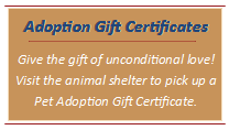 Adoption Gift Certificate