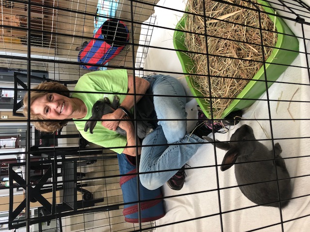 Woman holding a black rabbit