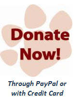 Donate to the Animal Shelter link