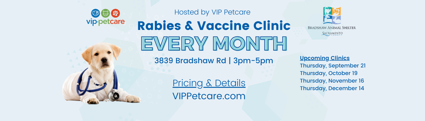 VIP Petcare Clinic Details and Pricing