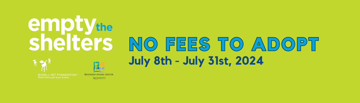 NO ADOPTION FEES for Cats & Dogs - July 8-31, 2024