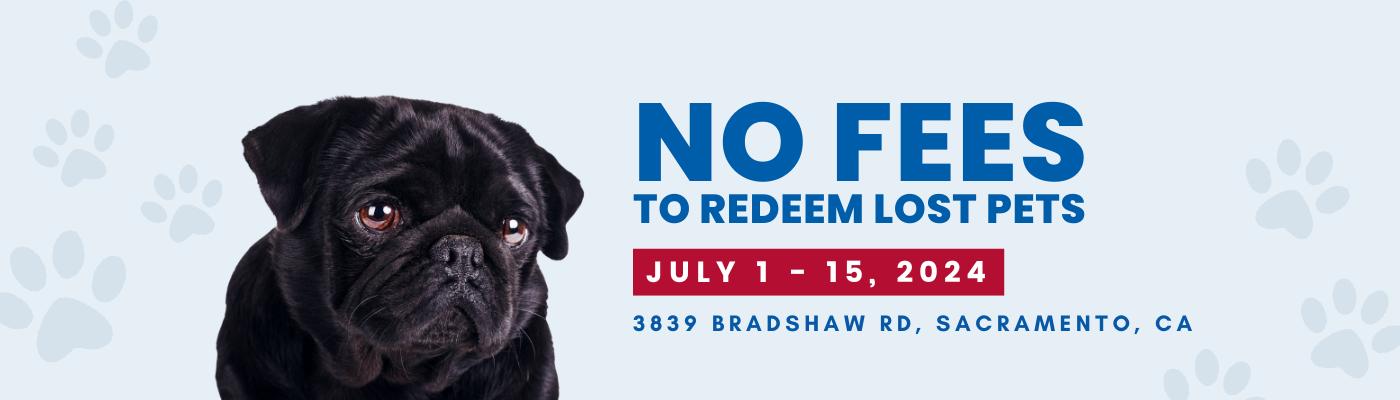 NO FEES to Redeem Your Lost Post - July 1-15, 2024