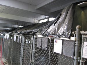 Old tarps used for the leaky roof