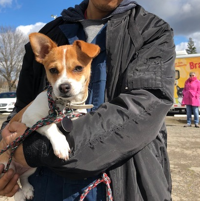 a person holding a small dog