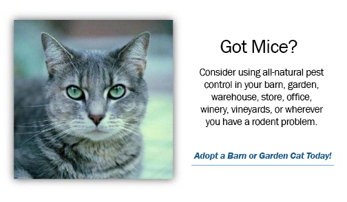Got mice? Adopt a barn or garden cat today!