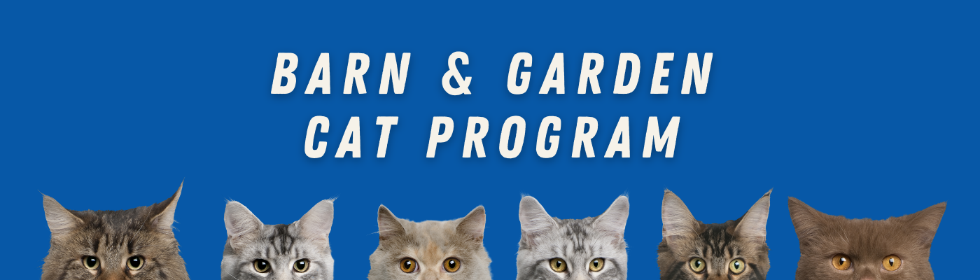 Learn More About Our Barn and Garden Cat Program