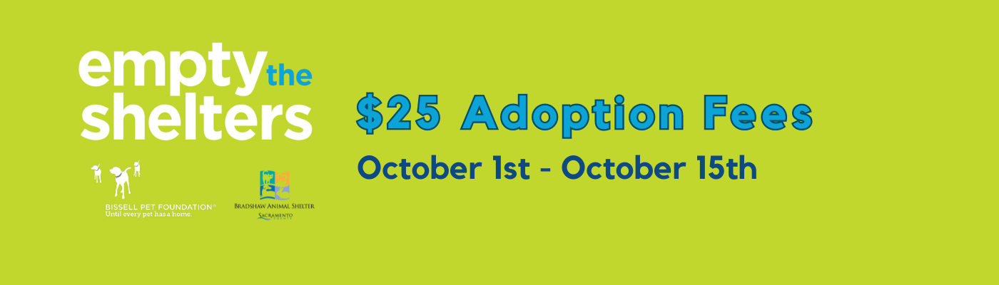 Help Empty the Shelter with $25 Adoption Fees