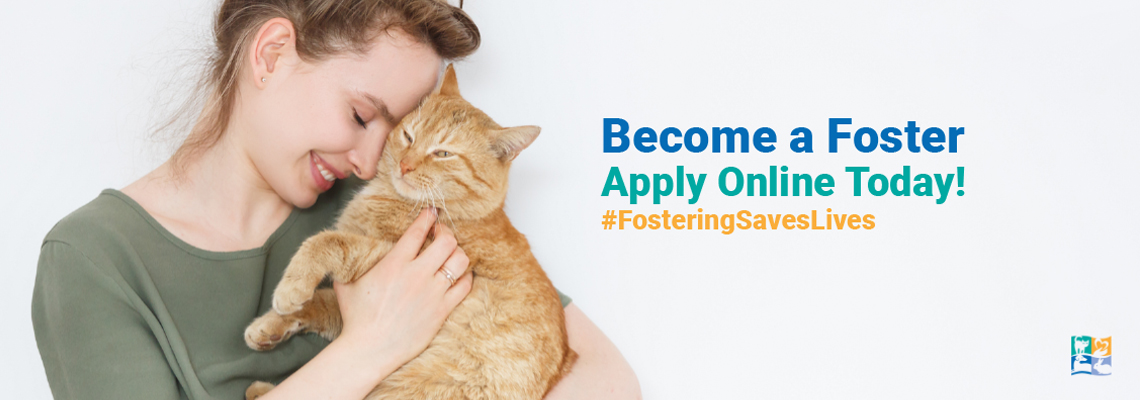 Become a Foster Care Provider Today!
