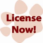 License Now!