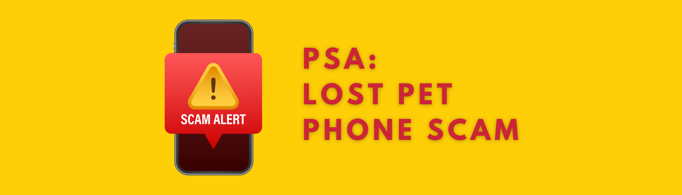 Don't fall victim to this lost pet phone scam