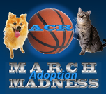 March Adoption Madness Blurb.png