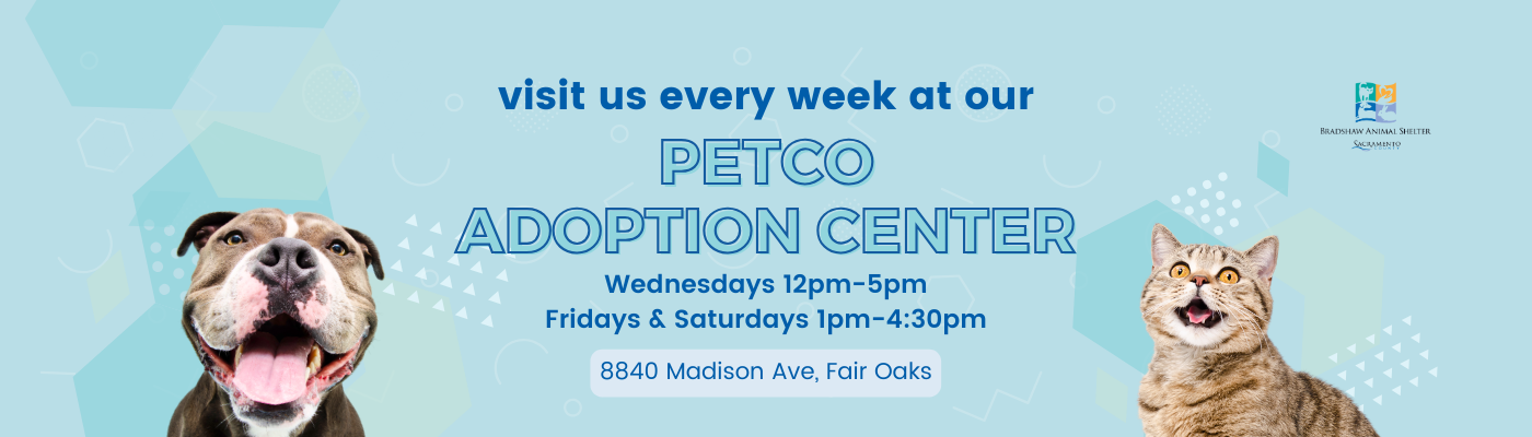 Visit Us At Our Petco Adoption Center