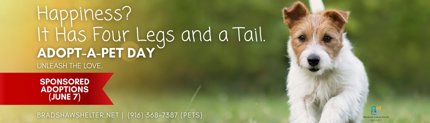 Adopt-A-Pet Day