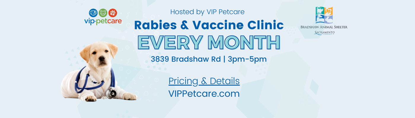 VIP Petcare Clinic Details and Pricing