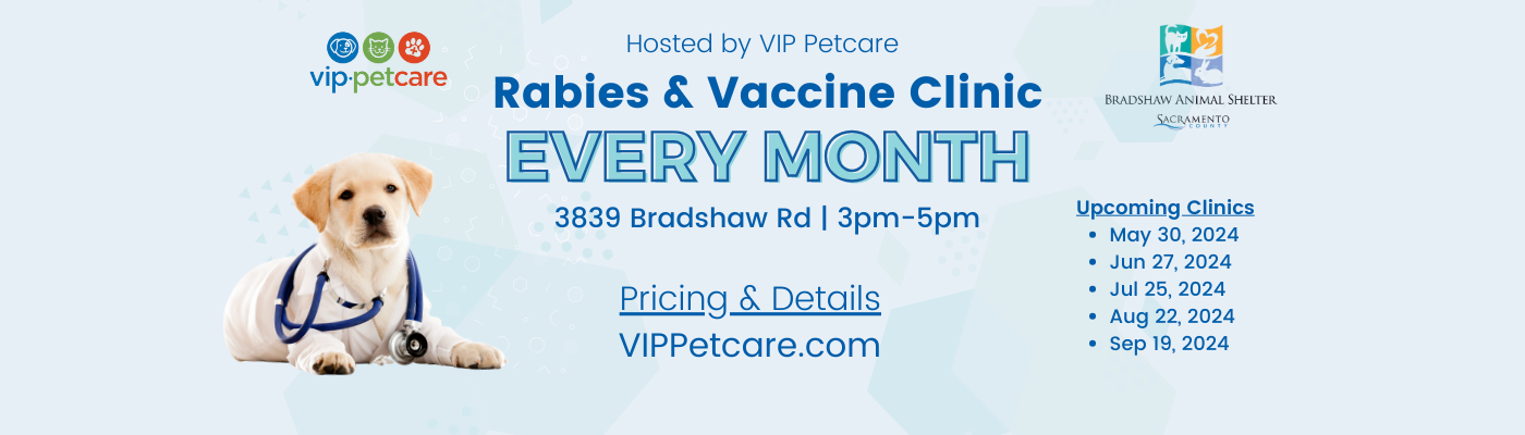 VIP Petcare Clinic Details and Pricing