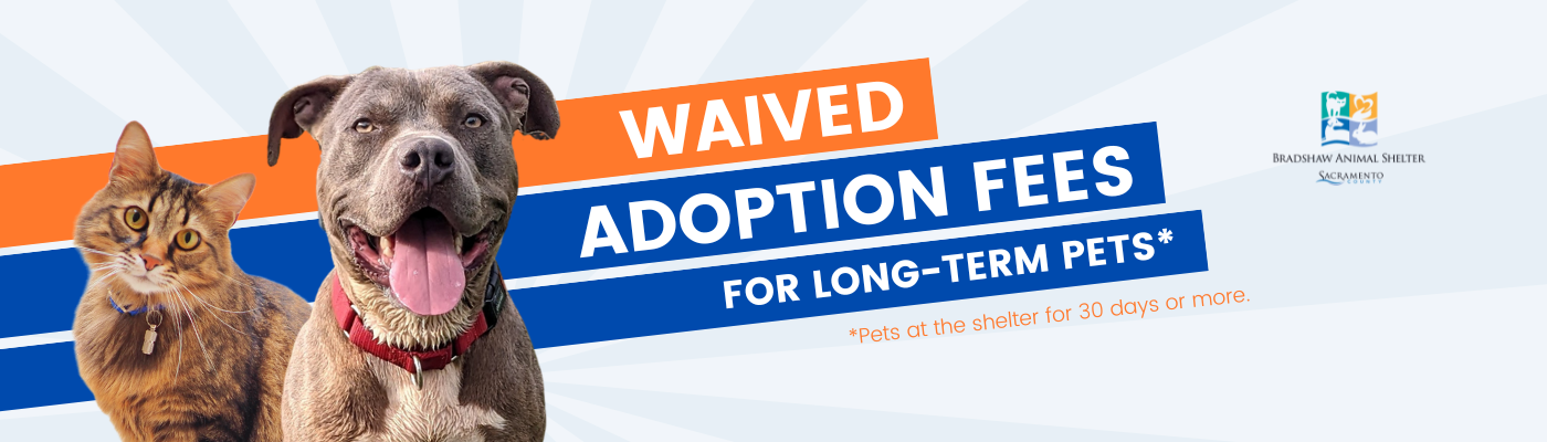Waived adoption fees for long-term pets