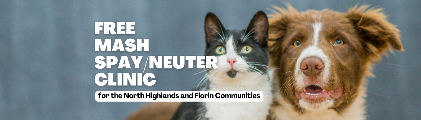 Free Spay/Neuter Clinic for North Highlands and Florin