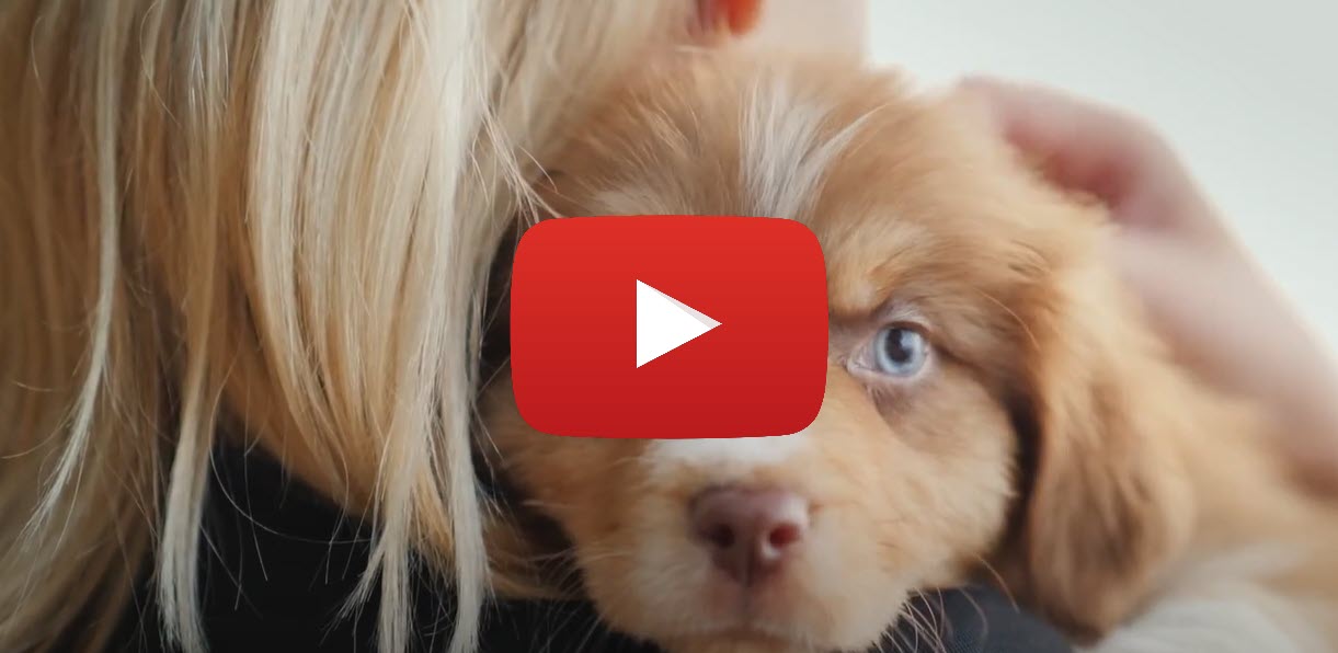 YouTube video play thumbnail