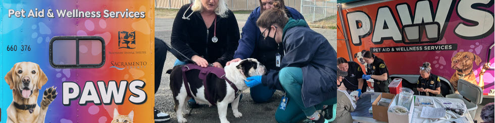 Collage of PAWS Images