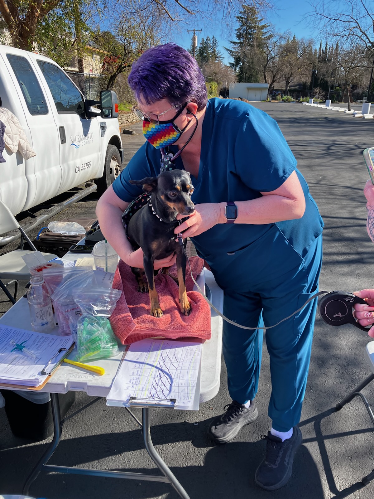 vet staff doing an exam on a dog